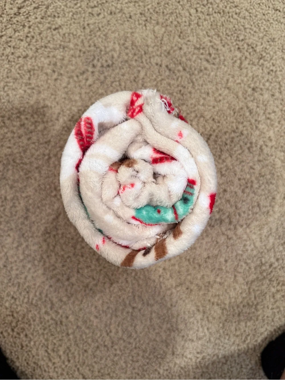 Holiday Time Plush Throw Blanket in Holiday Dogs Print 48x58”